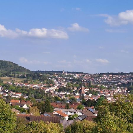 Ferienwohnung Schleiten Püttlingen Kültér fotó